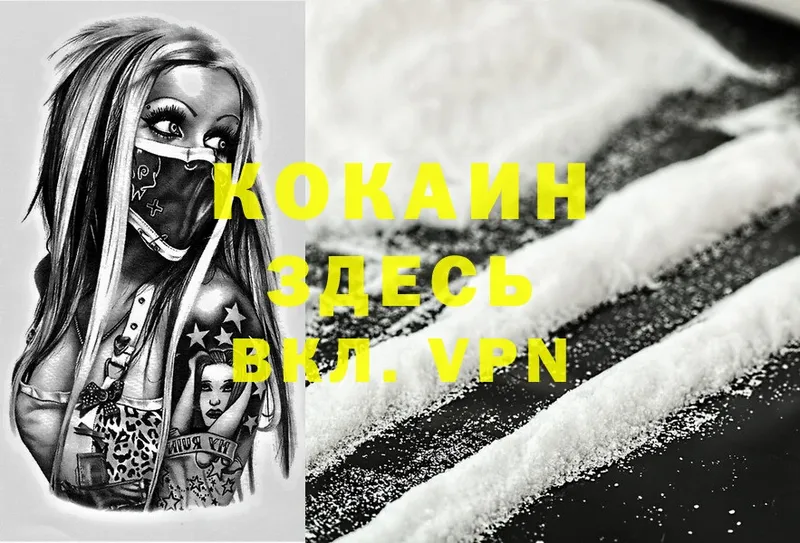 Cocaine Fish Scale Кашин